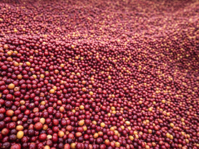 ChatGPT Image 20 mar 2026, 00_24_59